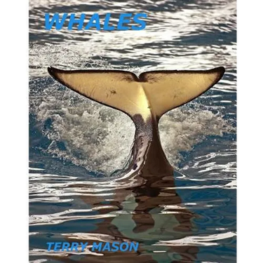 Whales: Whale Facts for Kids, Whales Gentle Giants of the Sea