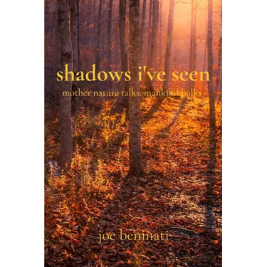 shadows i've seen