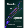 Chromatin and Epigenetics