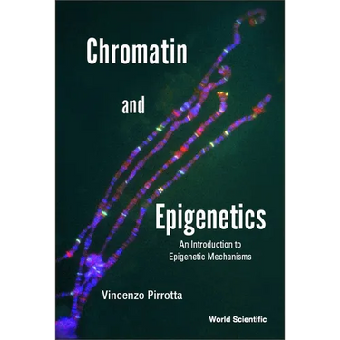 Chromatin and Epigenetics