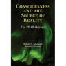 Consciousness and the Source of Reality