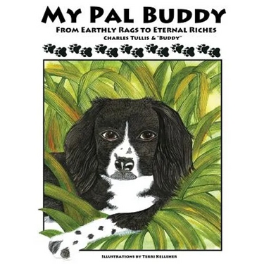 My Pal Buddy
