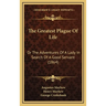 The Greatest Plague Of Life: Or The Adventures Of A Lady In Search Of A Good Servant (1864)