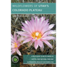 Wildflowers of Utah's Colorado Plateau