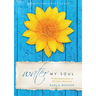 Water My Soul: Ninety Meditations from an Old Order Mennonite