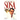 Sosa: The Reign (Book Two)