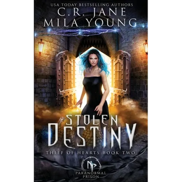 Stolen Destiny: Paranormal Romance
