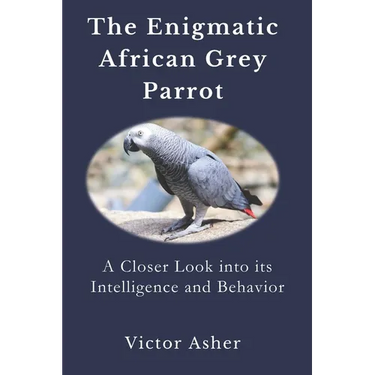 The Enigmatic African Grey Parrot: A Closer Look into its Intelligence and Behavior