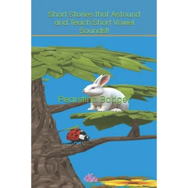 Short Stories that Astound and Teach Short Vowel Sounds!!