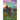Maria and the Montana Rider