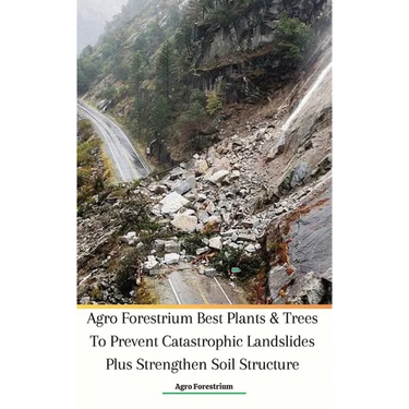 Agro Forestrium Best Plants & Trees To Prevent Catastrophic Landslides Plus Strengthen Soil Structure