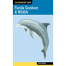 Florida Seashore & Wildlife