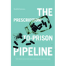 The Prescription-To-Prison Pipeline: The Medicalization and Criminalization of Pain