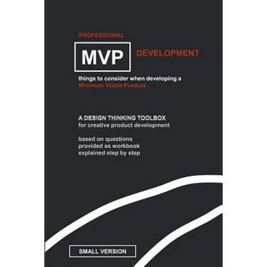 Professional MVP Development (SMALL EDITION): things to consider, developing a minimum viable product.