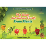 My own Jamaican foods from plants