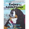 Enjoy the Little Things: A Bernese Mountain Dog's Montana Adventure