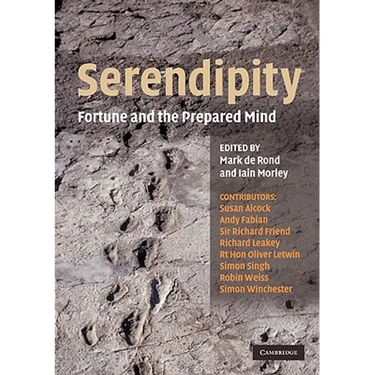 Serendipity