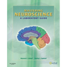 Mastering Neuroscience: A Laboratory Guide
