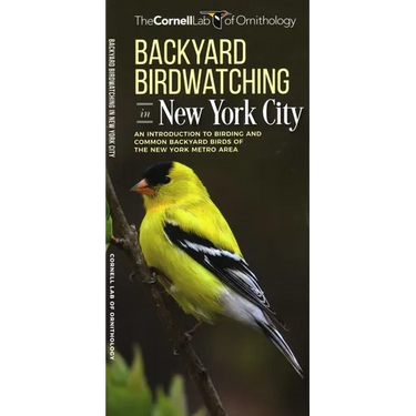 Backyard Birdwatching in New York City: An Introduction to Birding and Common Backyard Birds of the New York Metro Area