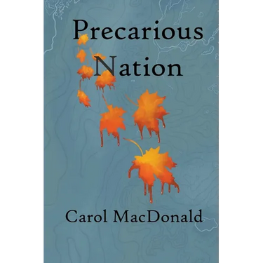 Precarious Nation