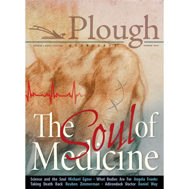 Plough Quarterly No. 17- The Soul of Medicine