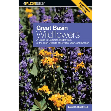 Great Basin Wildflowers