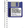 Software, Copyright, and Competition: The Look and Feel of the Law