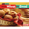 From Wheat to Bread