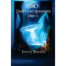 USO: Unidentified Submerged Object