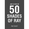 Just 23 Shy of 50 Shades of Ray