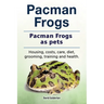 Pacman frogs. Pacman frogs as pets. Housing, costs, care, diet, grooming, training and health.