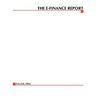 The E-Finance Report