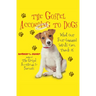 The Gospel According to Dogs: What Our Four-Legged Saints Can Teach Us