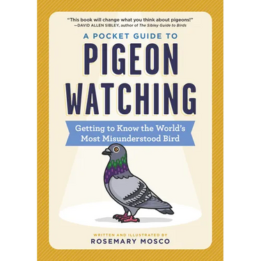 A Pocket Guide to Pigeon Watching: Getting to Know the World's Most Misunderstood Bird