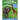 The Alphabet Animal Book