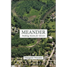 Meander: Making Room for Rivers