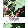 Dewberry Growing: Farmers' Bulletin 1403
