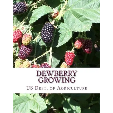 Dewberry Growing: Farmers' Bulletin 1403