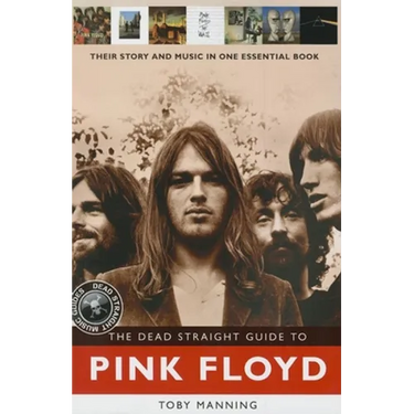 The Dead Straight Guide to Pink Floyd