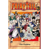 Fairy Tail 63