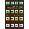 Jacob's Well: A Case for Rethinking Family History