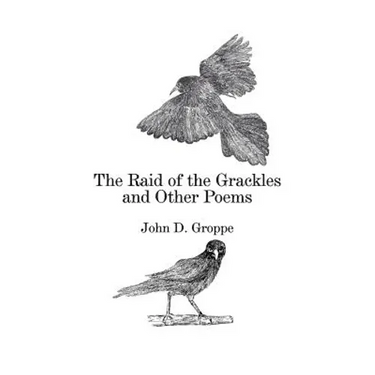 The Raid of the Grackles and Other Poems