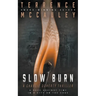 Slow Burn: A Charlie Doherty Thriller
