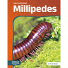 Millipedes