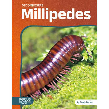 Millipedes