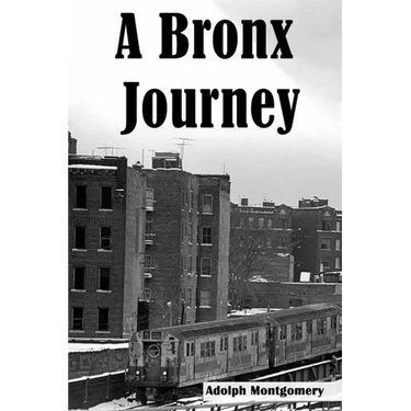 A Bronx Journey