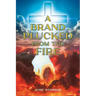 A Brand Plucked From The Fire
