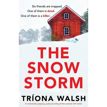 The Snowstorm: An absolutely gripping, pulse-pounding thriller packed with twists