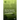 Electromagnetic Interference and Compatibility