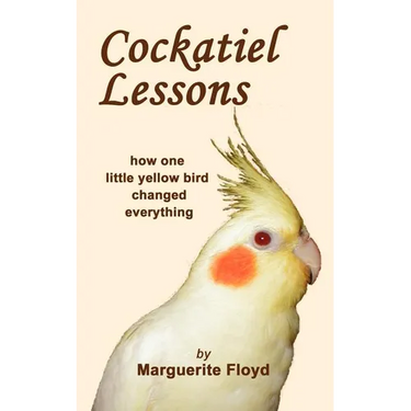 Cockatiel Lessons